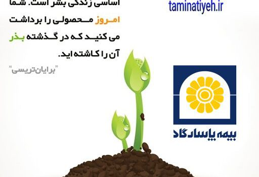 قانون کاشت و برداشت در بیمه زندگی